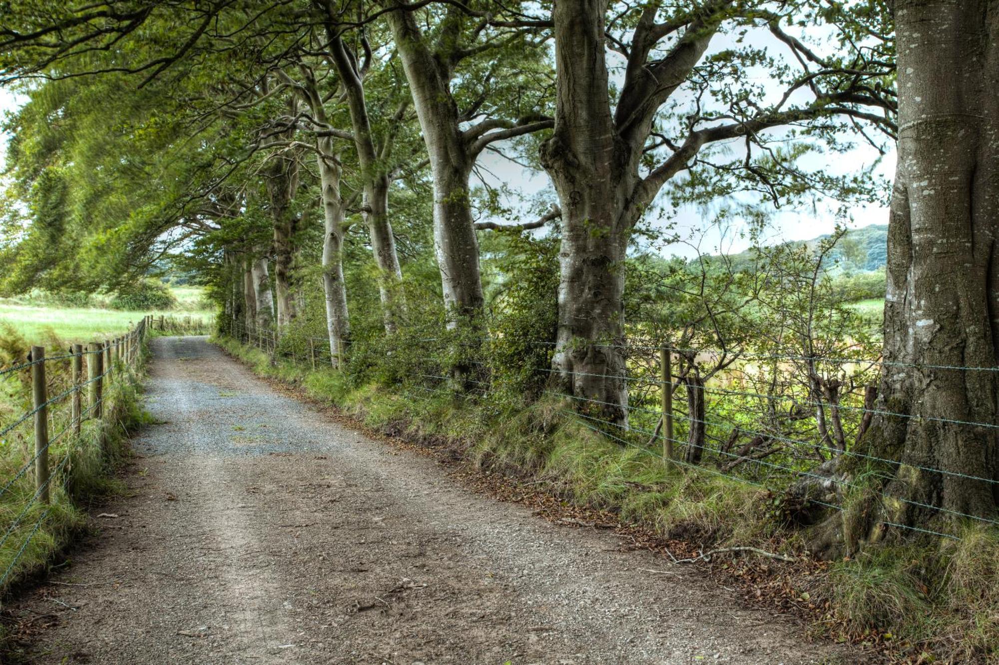 Ballylagan Organic Farm Straid  Quarto foto